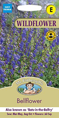 Mr Fothergill’s Seeds Ltd Bellflower Wild Flower Seeds, Purple