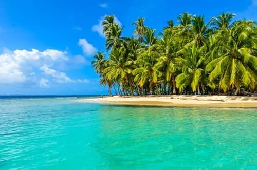 adrium Acryl-Bild 140 x 90 cm: Schöner einsamer Strand auf der karibischen Insel San Blas, Kuna Yala, Panama. Türkisfarbenes tropisches Meer, paradiesisches (88199603)