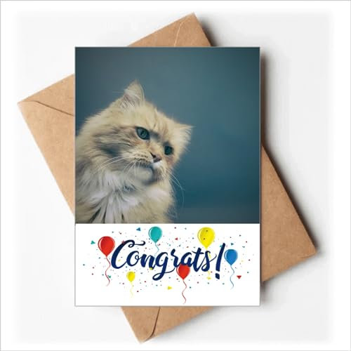 Tier blaue Katze Foto Hochzeitskarten Glückwunsch Gruß Umschläge