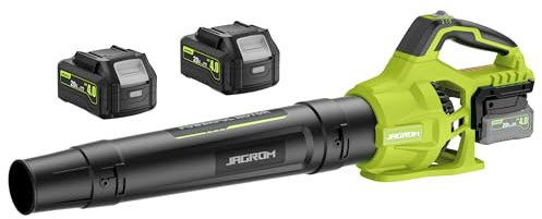 Cordless Leaf Blower with 2 Batteries and 4.0Ah Charger, 580CFM 160MPH Electric Leaf Blower with 2 Speeds, 20V Handheld Leaf Vacuum for Lawn Care, Blow Blades