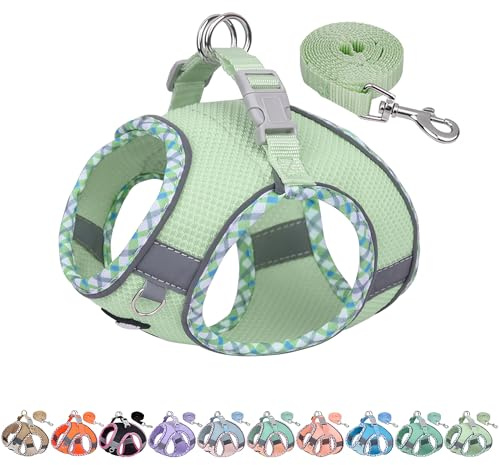 AIITLE Hundegeschirr und Leine Set, No Pull Schritt in Welpengeschirr mit Super atmungsaktivem Mesh, reflektierende Welpen Essentials für die Ausbildung für kleine Hunde, Katzen Salbei XS