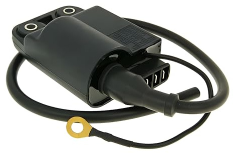 CDI Box con bobina di accensione per Gilera, Piaggio senza KAT