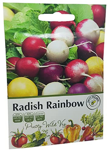 Radish Rainbow Seeds in Pictorial Packet from a UK Seller Amazing Variety Produces Red, Pink, White & Yellow Radishes