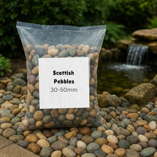 Natural Scottish Beach Pebbles 30-50mm 10kg | Decorative Smooth Stones for Gardens, Paths, Aquariums & Water Features