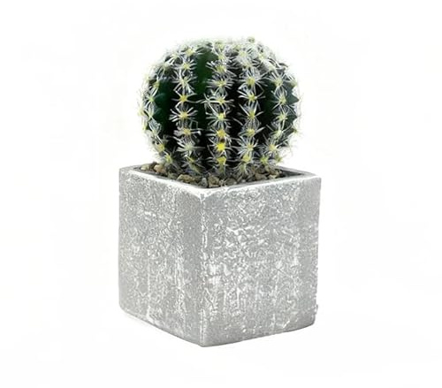 Airbirhom Artificial Cactus Succulents Potted,Realistic Fake Small Succulents Plants in Pots Decorative for Indoor Outdoor Home Decor, Bedroom, Office, Desk, Living Room