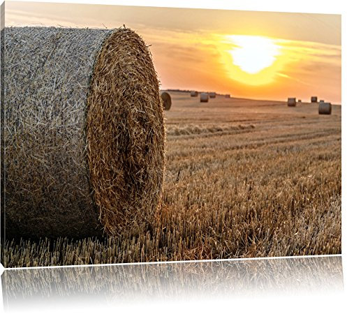 Pixxprint Strohballen auf Feld Bild, Größe: 120x80cm, Leinwandbild, fertig gespannt, Wandbild, Dekoration, Kunstdruck, kein Poster