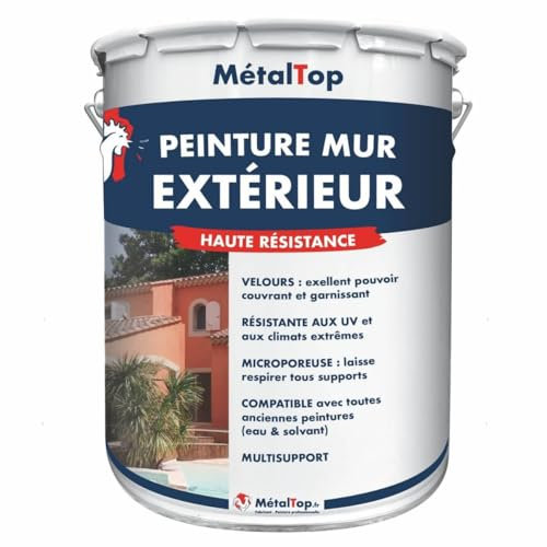 Metaltop - Peinture Mur Exterieur - Vert mousse - RAL 6005 - Pot 1 L - Finition velours, protection 10 ans, microporeuse, application facile sur crépi, béton, brique.
