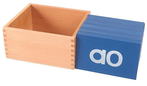 sszxmy Montessori Sandpaper Letters Cards, Red Blue Uppercase Lowercase Alphabet Tracing Flashcards,Model B