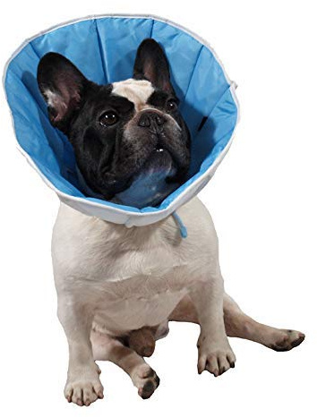 Collerette/Collar/Cone postoperativ, postoperative Operationen für Hunde, Katzen oder Kaninchenn 3(L) Kopfumfang:30-36cm; Höhe:20cm