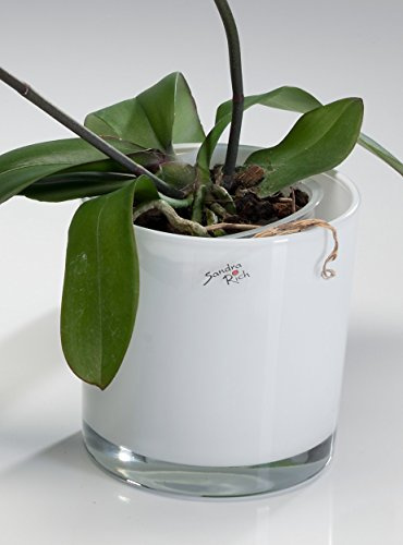 Sandra Rich 3X Glas White Emotion farbig Blumentopf Übertopf Blumenübertopf weiß 14 cm