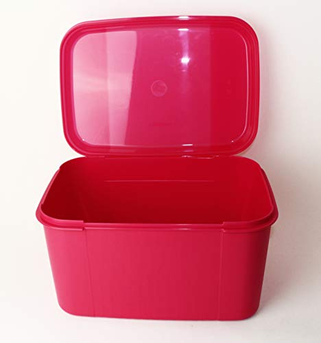 Tupperware® XXL- Naschkatze Neue Trendfarbe! Picknick-Box