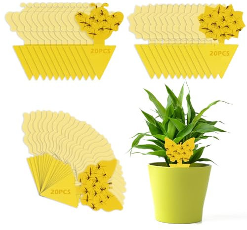 VFANDV Gelbtafeln, 60 Stück Gelbsticker Trauermücken Bekämpfen Gelbtafeln für Aussen Fruchtfliegenfalle für Küche Effektive Klebefalle Gelbtafeln Trauermücken Gelbsticker Trauermücken