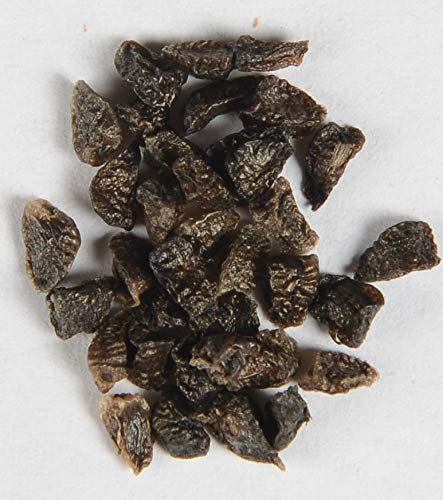 Dunkelblauer Rittersporn Delphinium belladonna 'Bellamosum' 50 Samen