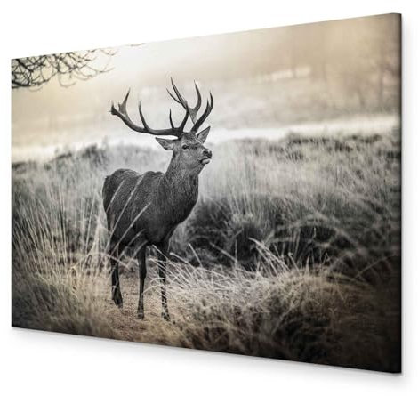 murando - Wandbilder XXL Hirsch 90x60 cm 1 tlg - Wand Deko Vlies Leinwand Bilder Groß Wanddeko Wohnzimmer Schlafzimmer Kunstdrucke - Tiere Natur g-B-0053-b-d
