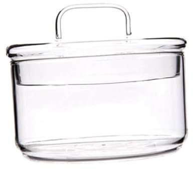 Mikinona Transparente Dessertschale Aus Glas Salatschüssel Mit Deckel Für Obst Und Gemüse Klare Servierschale Zum Servieren Von Frühstück Und Snacks Hitzebeständige Obstschale Für Abendesse