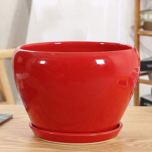 XDAWQP Maceta de cerámica para Interior con Agujeros, Maceta para orquídeas, Maceta Especial de Barro para Sala de Estar, Maceta Grande Redonda para suculentas, Cactus.