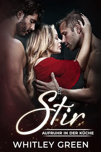 Stir - Aufruhr in der Küche (The Sizzle TV Series (German Edition) 5)
