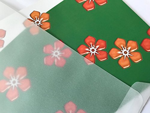 umschlag-discount – transparente Briefumschläge aus Pergamin-Papier für Infoschreiben, Gutscheine, Einladungen & Co – 50 Stück selbstklebende Briefkuverts mit den Maßen 229 x 162 mm (DIN C5)