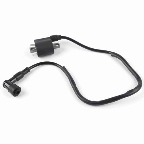 Qiilu Zündspule 2-Pin für Motorrad CBF125 CBR125 CR125 CR250 CRF450 CR500 Zündungen Zubehörteil