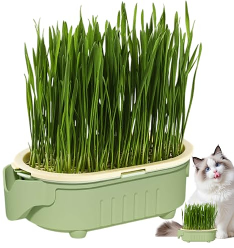 Generisch Hydroponischer Katzengras -T-opf - Innenkatze Gras -Hydroponik -Pflanztablett - Katzenminze, Anfänger -freundliche hohlauslöser bodenlose Wasserbehälter für Haus, Garten, Balkon