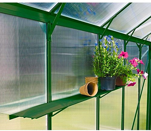 Aluminium Gewächshaus-Wandregal 122 x 15 cm grün Gewächshausregal