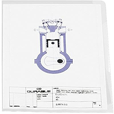 Durable 233719 Aktmapp A4, transparent, 100 stycken