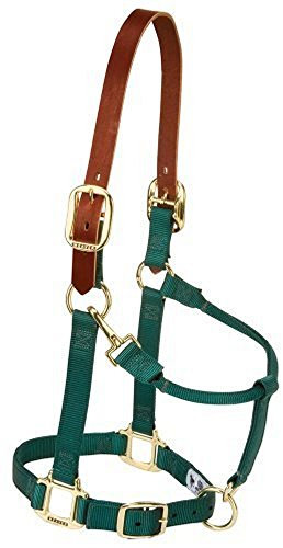 Weaver Leather Sicherheits-Halfter für Pferde aus Nylon, verstellbar, Größe M, Jägergrün