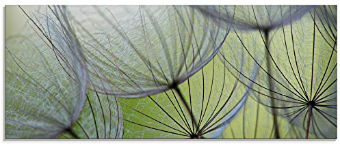 ARTland Wanddeko Glasbilder Wandbild Glas Bild einteilig 125x50 cm Querformat Natur Botanik Blumen Pusteblume Frühling Grün T5PP