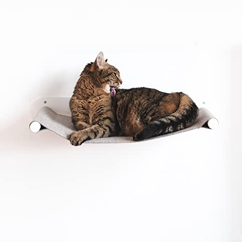 LucyBalu® Katthängmatta med naturlig filt | hängmatta för katter som kattsäng på väggen I kattstol för vägg med metallram | väggbäddplats katt | Tillverkad i Tyskland I vit/sand