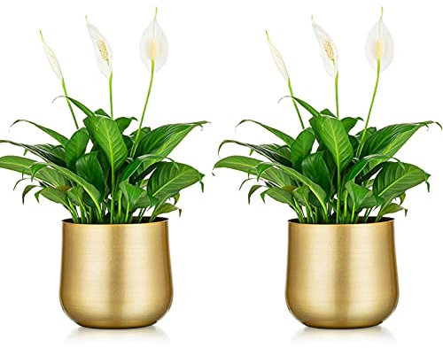 NUPTIO 2 Pièces Pot de Plante Vase en Or Pot de Fleur en Métal Vase avec Trou de Drainage, Organisateur de Stockage Moderne Cadeaux Décoratifs pour Mariage Intérieur Extérieur Balcon Affichage