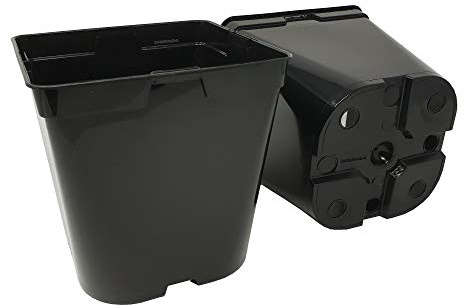 GREEN24 20 Stck. Pflanztöpfe 3 L (16,0 x 16,0 x 16,5 cm) große Vierecktöpfe Profi XL Anzuchttöpfe Pflanztöpfe Blumentöpfe Vierkant-Töpfe