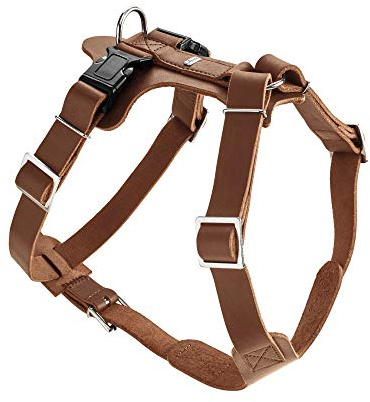 HUNTER AALBORG Hundegeschirr, Leder, M-L/1, cognac | Rindsleder, 5-fach verstellbar, mit Kunststoffschnallen, Made in Germany, Farbe: Cognac, Größe: M-L/1