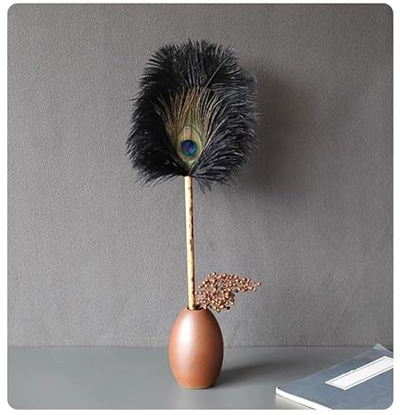 Plumeau en plumes d'autruche pour enlever la poussière électrostatique, décoration en plumes de paon (noir, grand collecteur de poussière 50 cm x 18 cm)