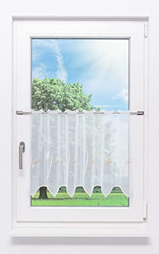 Plauener Spitze Scheibengardine Strelitzia (Bx H) 196.80cm * 50cm Beige/weiß-beige
