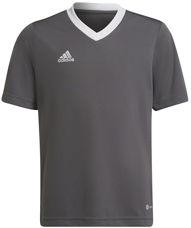 adidas Unisex Kinder Entrada 22 Jersey, Team Grey Four, 15-16 Years