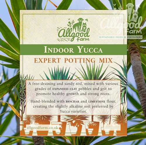 Allgood Farm Yucca Soil - Yucca Tree Expert Potting Soil Mix (10 Litres)