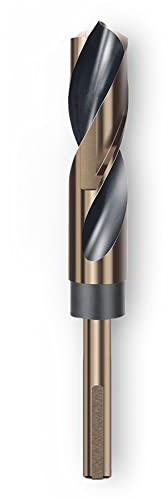 LEPEVNEY Foret hélicoïdal à tige réduite de 12 mm avec tige de 10 mm pour acier inoxydable, alliage d'aluminium, métal, cuivre, bois, plastique, fabriqué en acier rapide 4341