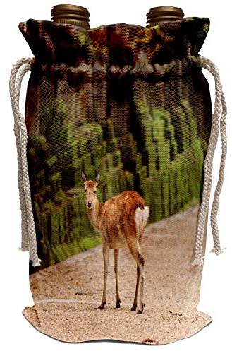 3dRose Deer near stone lanterns, Kasuga Taisha Shrine, Nara, Japan. Wine Bag