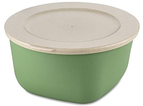 Koziol Connect Box 2 mit Deckel aus Kunststoff in der Farbe Nature Leaf Green 2L, Maße: 21cm x 20,5cm x 10,5cm, 7871703