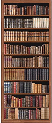 PLAGE Papier peint intissé Panoramique 250 cm X 96 cm, Décoration Murale, Collection de livres anciens, Photo d'une bibliothèque ancienne marron.