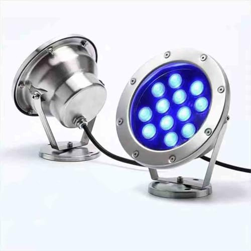 THEGA Foco para Estanque subacuático - 24V luz subacuática Impermeable de Siete Colores Paisaje, luz LED subacuática para Piscina,luz para Estanque Peces, luz Fuente,(White Light,12W)