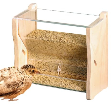 Alimentador de agua para codornices,Alimentador de codornices Taza de