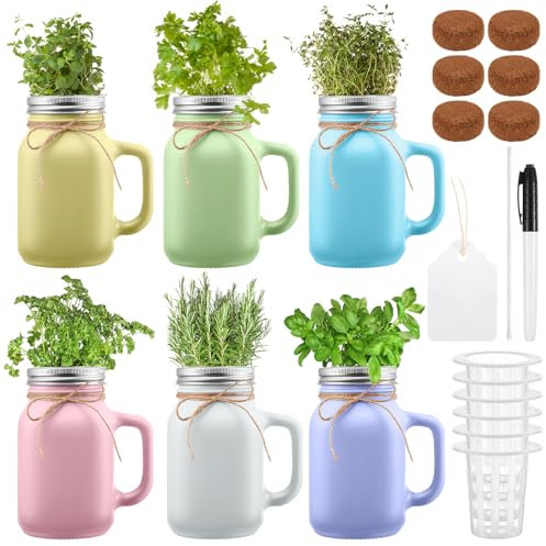 Vesici 6 Set Hydroponic Mason Garden Jar Kit Self Watering Herb Hydroponic Planter Starter Kit with Net Pot for Indoor Herbs Windowsill Garden Flower Plant Growing Keimung
