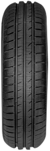 FORTUNA - 195/65 R15 TL 91T GOWIN HP M+S 3PMSF - Winterreifen