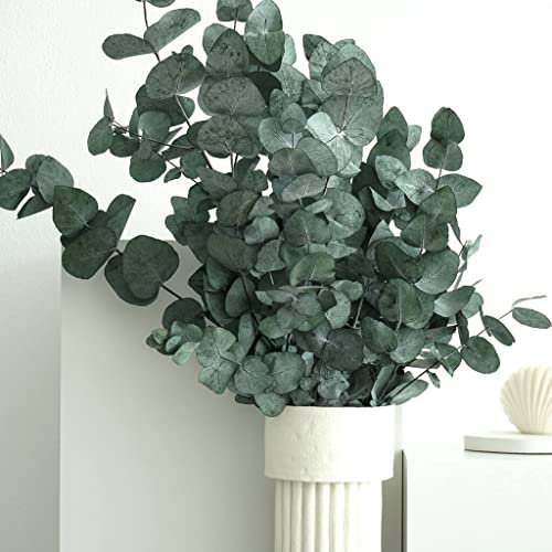 LYKKE & YOU konservierter Eukalyptus Cinerea; Trockenblumen; Eukalyptus Pflanze, Deko grün für Wohnzimmer, Schlafzimmer, Büro, Tischdeko, Hochzeit & Einzugsgeschenk; natürlich, elegant & nachhaltig
