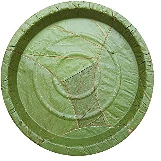Palash-Sal leaf Single use Plate | Natural, biodegradable, backyard compostable, USDA Certified | Parties, Festival, wedding, BBQ Disposable supply | 9 Round Plate | Pack of 50