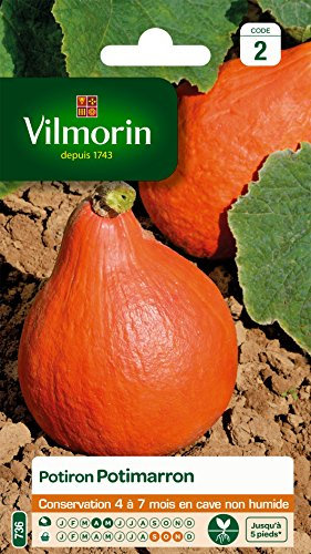 Vilmorin 3486845 Pack de Graines Potiron Potimarron