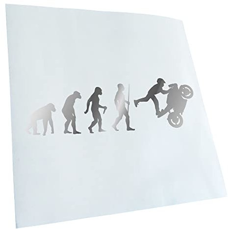 Kiwistar - Autoaufkleber - Rennmotorrad Evolution - chrom - 24x7cm - Heckscheibe Auto Aufkleber wetterfest für Kfz LKW Mofa Truck - Sticker außen selbstklebend Tuning Zubehör für Fenster Fahrzeug