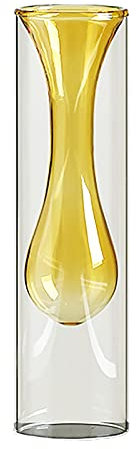 SAZDFY Moderno Ins Stile Cilindro Soffiato A Mano Vetro Vasi Vasi per Orchidee per Casa Ufficio Centrotavola Vaso Trasparente Arredo-Giallo 24x6.5x6.5cm(9x3x3inch)