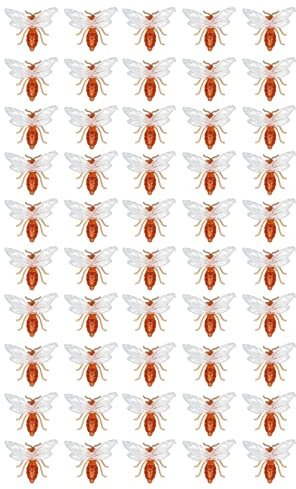 Ldafava Bienenschmuck Plastik Plastik Honig Bienenation 50 PCs Mini süßes lebensechtes Garten für Baumtür Wall Yard